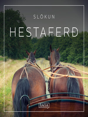 cover image of Slökun, Hestaferð